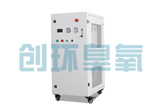 大兴石斑鱼养殖水质调控完整指南：臭氧发生器配置与操作步骤