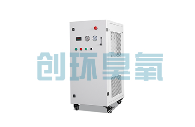 大兴比传统换水更高效？臭氧发生器在石斑鱼养殖中的水质净化原理解析