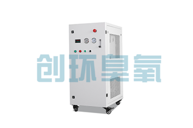 大兴比传统换水更高效？臭氧发生器在石斑鱼养殖中的水质净化原理解析